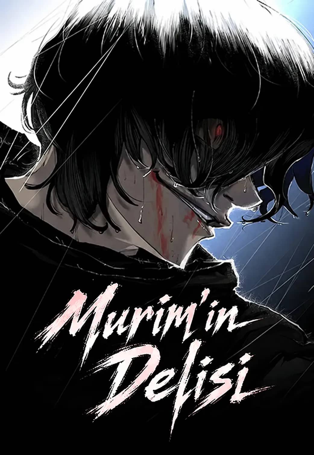 Murim’in Delisi kapak görseli