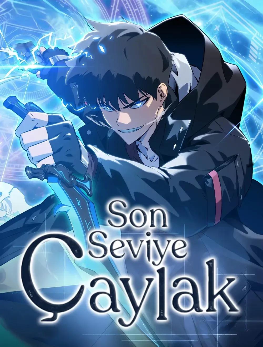 Solo Max-Level Newbie kapak görseli